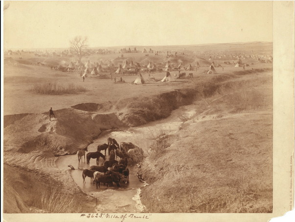 Settling the Great Plains